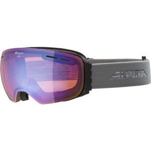Alpina Sports GRANBY HM tmavě šedá NS - Lyžařské brýle